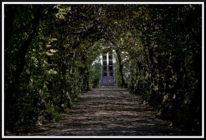 2790209760_8a78594a95_z