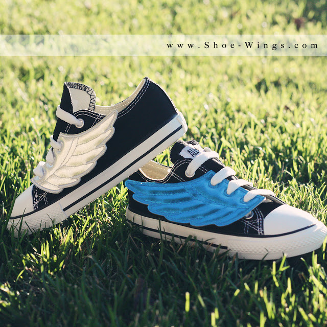 blue gold shoe wings square wm