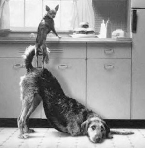 Hlh342uIYfxrZxmIikzDMjl72eJkfbmt4t8yenImKBVaiQDB_Rd1H6kmuBWtceBJ