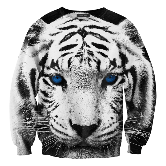 fe242bfb85f7eee5791197e89078a54b