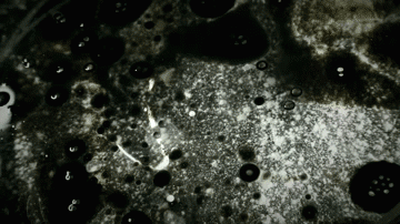 toogood_the-oilriggerwebweb