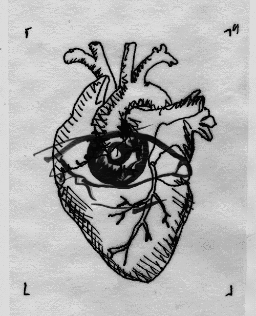 Matthias-Brown-Traceloops-2