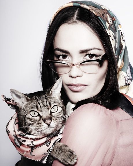 ae713df81ef499526ce5673d850726d8