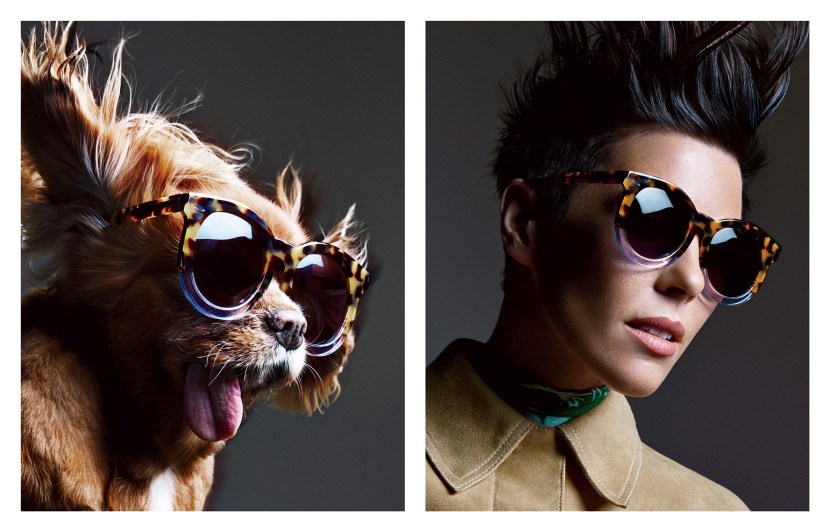 kwe-1st-summer-2015_super-duper-thistle_1501592