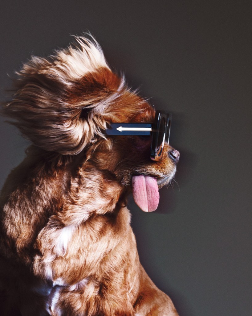 kwe-1st-summer-2015_toast_hothouse-1501582-side_cmyk