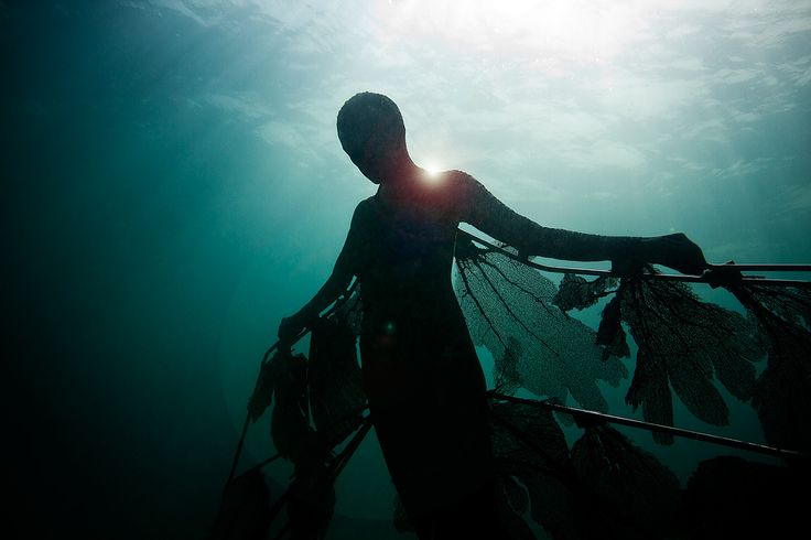 5ccf858e595f297436a978d1626f22a8