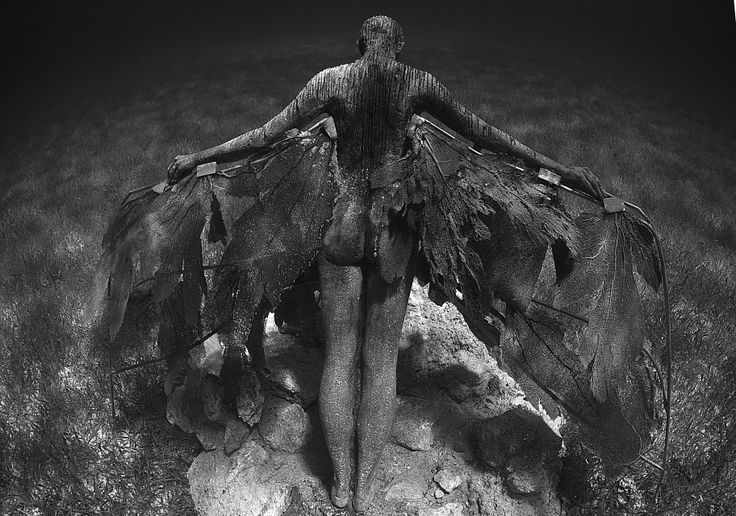 ffb7cd20523edf0393ca0d35ce4ef9d2