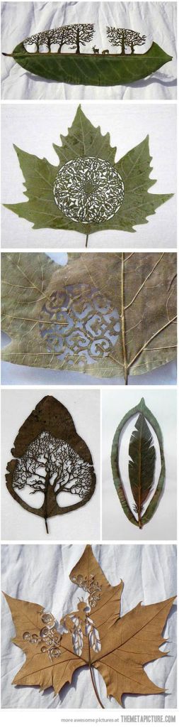 e0a475f73e2d9b84a40e6a9154ce2fbd-1