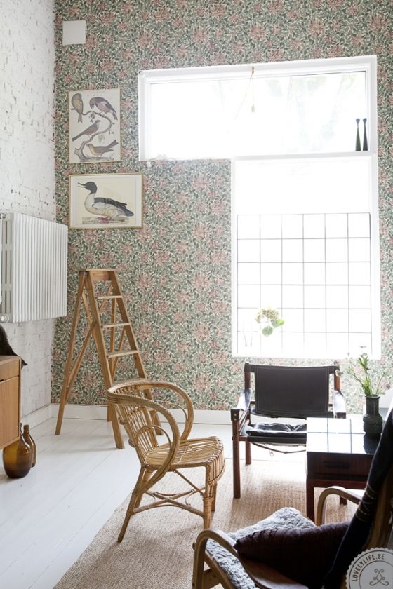 c21a02cb02638181cfbabd70e5454b1d