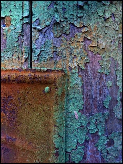 24cc208b03499960f4d4d060ef819f48