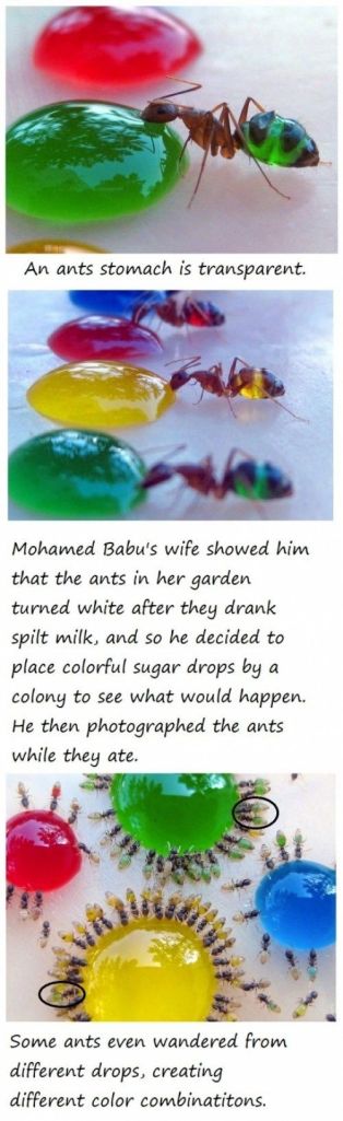 f09533eaebb27323080b32443d093d72