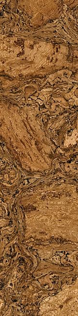 c03f8a92920e8936644628e6ad930fd8