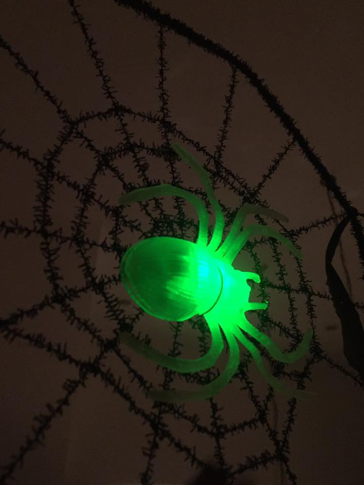 14591602_10154319964477928_4808302657040635930_n